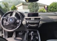 BMW X2 xDrive 25d M Sport X