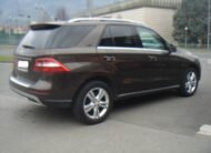 MERCEDES-BENZ ml 250 CDI BlueTEC