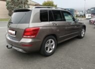 MERCEDES-BENZ Clase GLK 220 CDI 4Matic BlueEfficiency